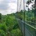 Popular Hiking Trails in Singapore