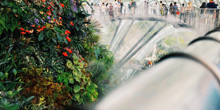 1597672654680_Attractions_in_Singapore_That_Have_Finally_Reopened.jpg | TheHomeGround Asia Here Are 10 Attractions in Singapore That Have Finally Reopened