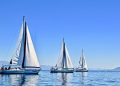 Call for Nominations: 2020 General Election of World Sailing Board of Directors