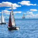 Organisers to Decide on Bermuda Gold Cup by August