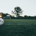 Fandi Ahmad Appointed Head of Elite Youth