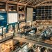1599638406372_kevia-tan-GGglxQ2Ezro-unsplash-1.jpg | TheHomeGround Asia First Virtual Great Singapore Sale To Kick Off Today