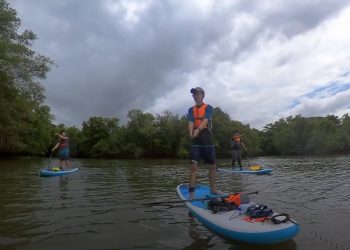 A Singaporean’s Paddleboarding Adventure to Sungei Simpang