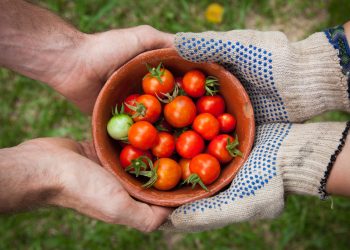 Let’s Talk About Food Security: Singapore Edition