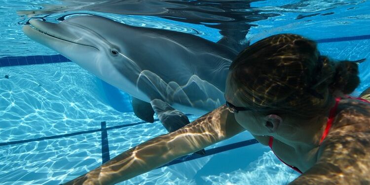 1603214224444_EDGE_INNOVATIONS.jpg | TheHomeGround Asia AI Might Soon Replace Captive Animals In Theme Parks With Robot Animals