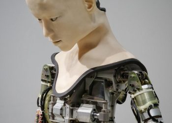 What will the Rise of Robotics Mean for Us?