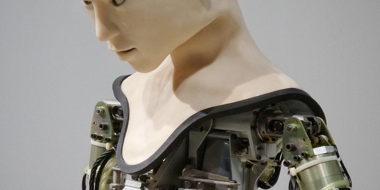 What will the Rise of Robotics Mean for Us?