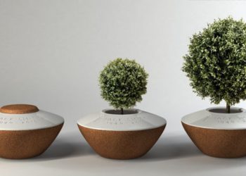 Give Life Even in Death: Eco-Friendly Burial Options
