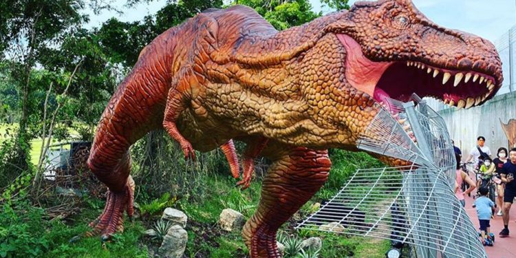 Additional Netting Installed at Changi Jurassic Mile After Woman’s Head Injury