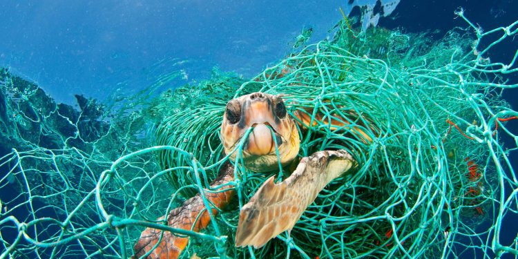 Will You Choose the Planet or Plastic? — Uncovering the Plastic Crisis