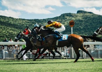 Authentic Wins US$6 million Breeders’ Cup Classic