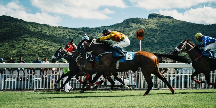 Authentic Wins US$6 million Breeders’ Cup Classic