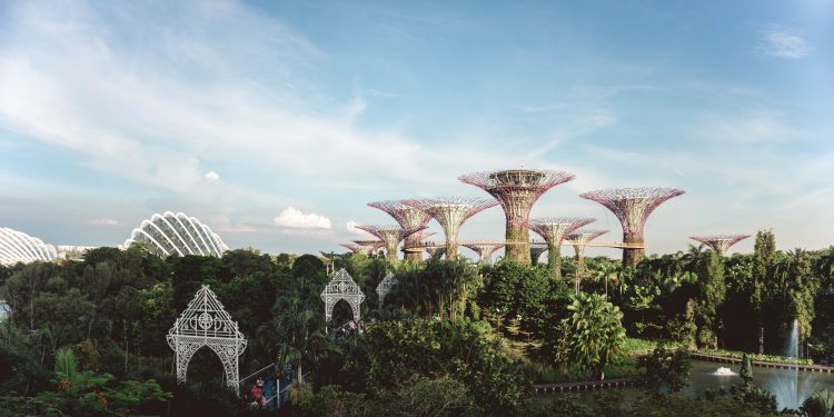 1606316958325_yeo-khee-mfBFoA6l7DY-unsplash.jpg | TheHomeGround Asia All You Need to Know to Redeem Your $100 SingapoRediscovers Vouchers