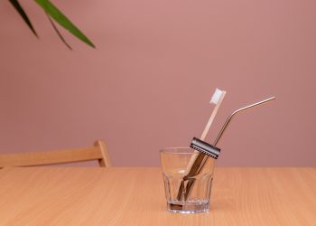 Is Sustainability Only for the Affluent?