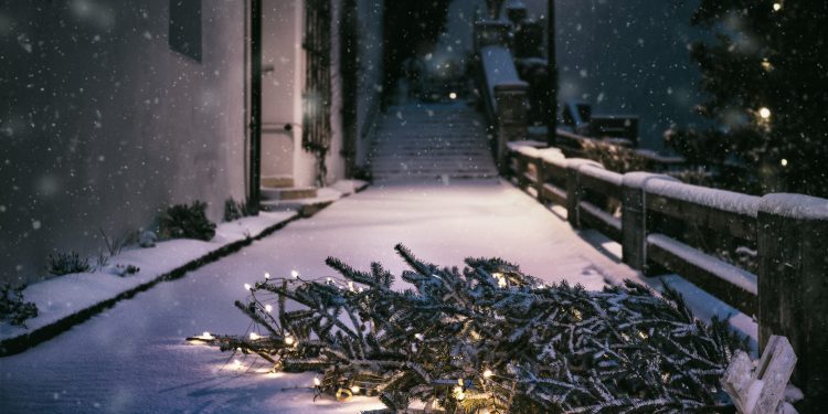 Is Your Christmas Tree Green?