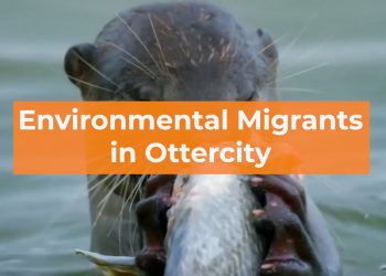Lovable Lutrines: Curated Nature and Environmental Migrants in Ottercity