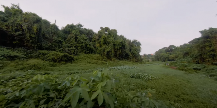 1609919265981_Feaured_Image.png | TheHomeGround Asia Clementi Forest: No Immediate Need to be Developed for Housing Purposes