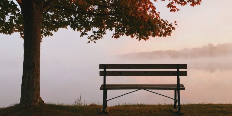 Normal is Relative: How My Parents Lived Separate Lives