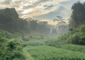 Is the Sustainable Development of Singapore an Inevitable Oxymoron?