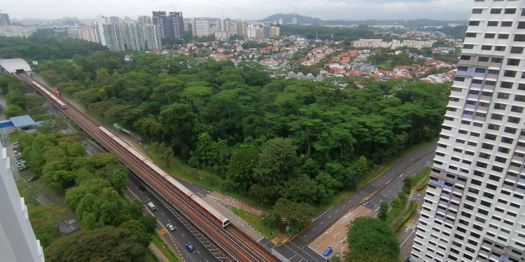 Everything You Need to Know About Dover Forest’s Redevelopment