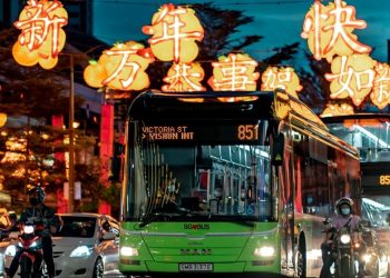 Chinese New Year 2021 Survival Guide