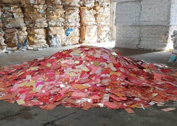 Waste Not, Want Not: Easy Ways To Go Green Over CNY