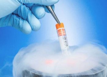 In Singapore, Most Women Aren’t Allowed to Freeze Their Eggs