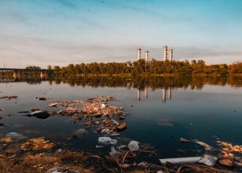 When Green Isn’t the New Black: The Rise of Greenwashing in Fashion