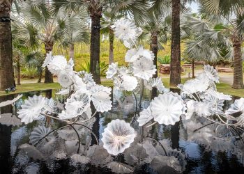 4 exciting things to do on 15 & 16 May 2021