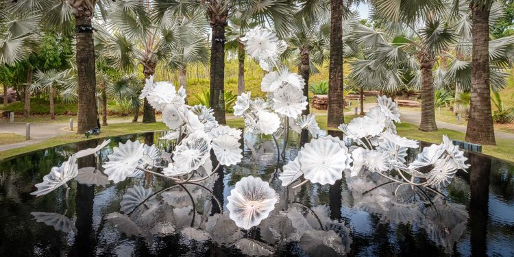 4 exciting things to do on 15 & 16 May 2021