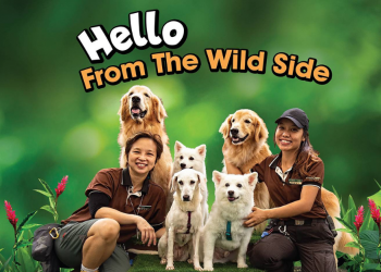 Heightened alert: 4 socially distanced things to do on 22 & 23 May 2021