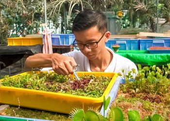 In Conversation With: Darren Ng, Founder of SGVenusFlytrap