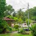 1629281576254_1280X626_286329.jpg | TheHomeGround Asia Opinion: Uncovering the kampung spirit of today