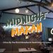 MIDNIGHT MAKAN - Citrus By The Pool | TheHomeGround Asia MIDNIGHT MAKAN – Citrus By The Pool