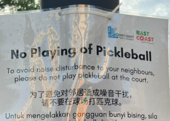 Banning Pickleball in HDB Estates: Legal Authority and Policy Implications