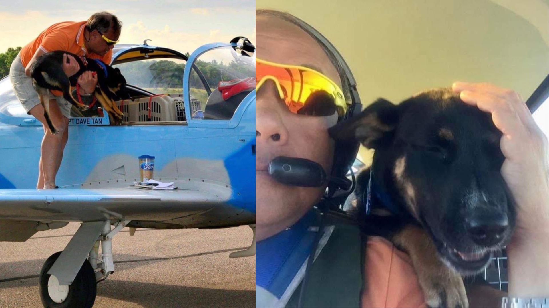 Former RSAF pilot David Tan flies rescue dogs, cats, and a pot-bellied pig