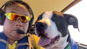 Former RSAF pilot David Tan flies rescue dogs, cats, and a pot-bellied pig