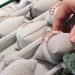 Local millennials, a bespoke jeweller and their love affair with the age-old jade