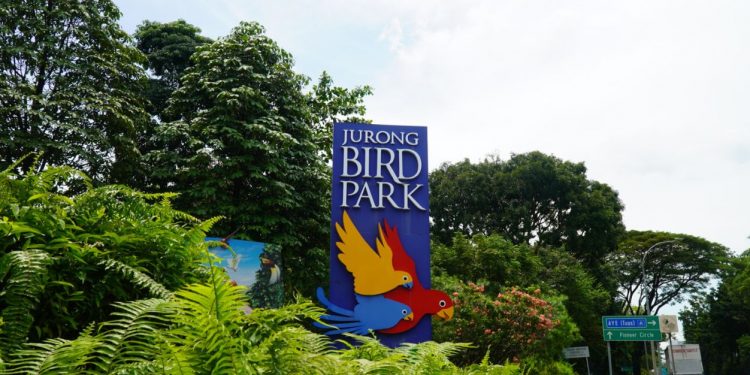 Jurong Bird Park S_TheHomeGround Asia | TheHomeGround Asia Jurong Bird Park