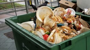 9 in 10 say lifestyle impact environment, only 2 in 5 cut food waste, survey says