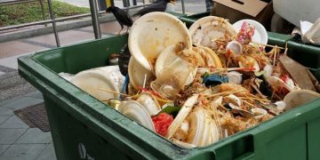 Mothership (1) | TheHomeGround Asia 9 in 10 say lifestyle impact environment, only 2 in 5 cut food waste, survey says