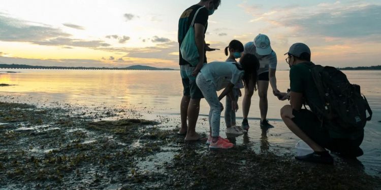 The eco-tourist’s guide to travel in Singapore