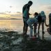 The Eco-Tourist’s Guide to Tavel in Singapore _ Untamed Paths | TheHomeGround Asia The eco-tourist’s guide to travel in Singapore