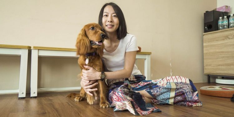 S3 Feature - 1920 x 1080 px V1 (6) | TheHomeGround Asia In Conversation With: Doris Lam, Animal Communicator Mentor