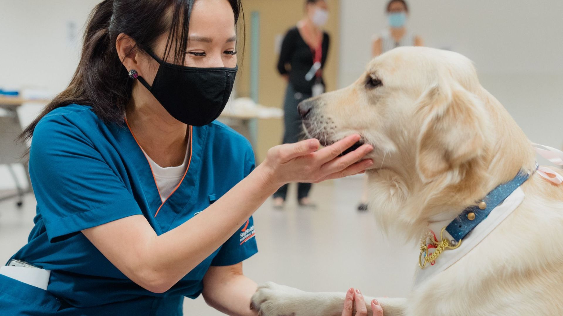 The healing power of animal-assisted activities: When the dogtors make  house calls | TheHomeGround Asia