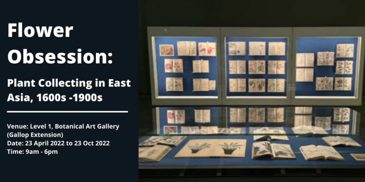 Flower Obsession: Plant Collecting in East Asia, 1600s–1900s