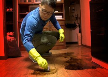 Japan’s Handsome Weeping Boys, Sheep Boys and Lonely Death Cleaners