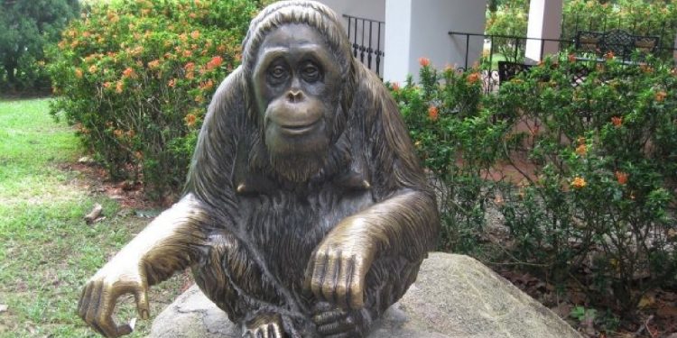 Revisiting Grand Dame Ah Meng on International Orangutan Day