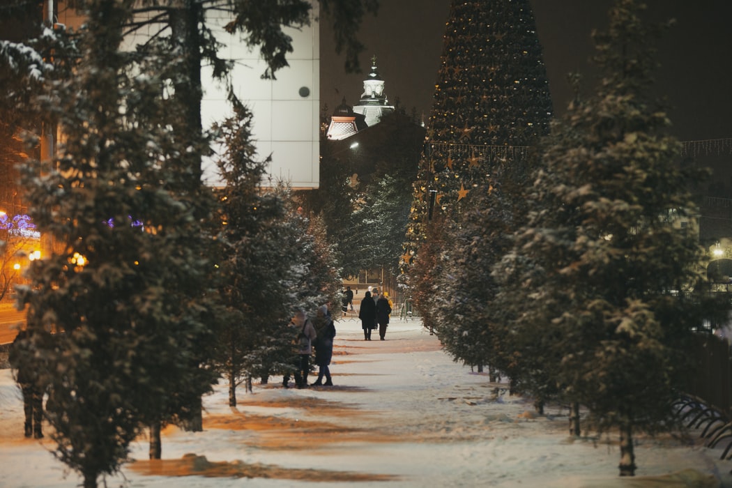 tree3 | TheHomeGround Asia