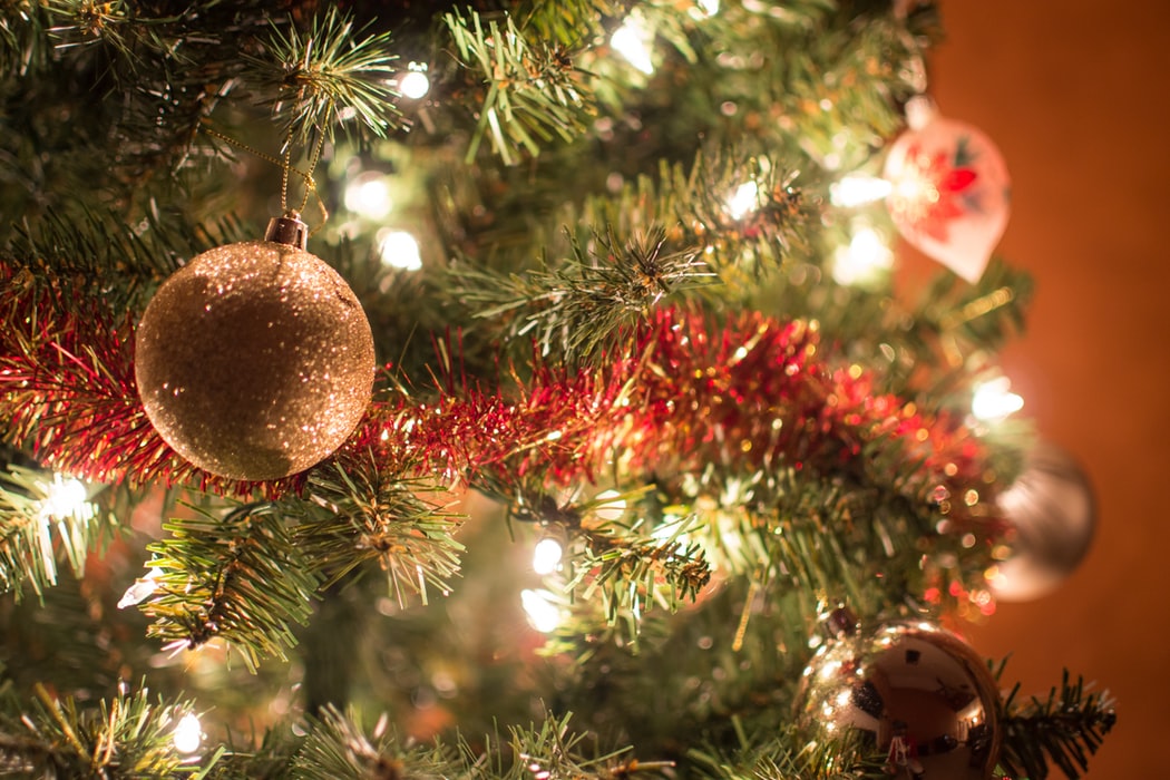 tree4 | TheHomeGround Asia